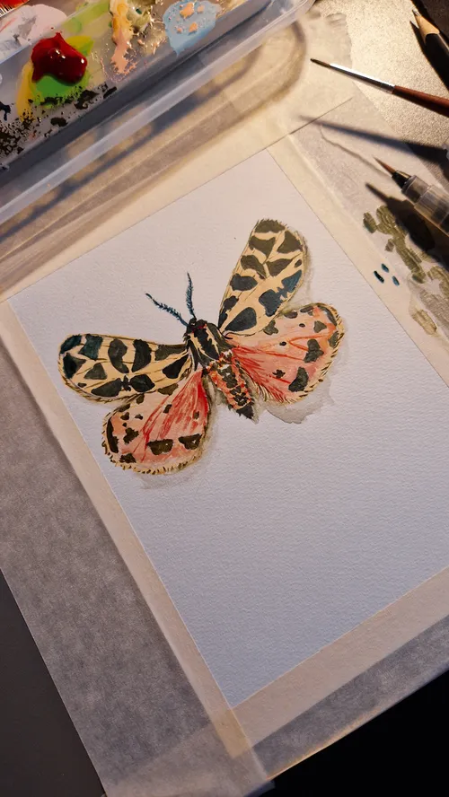 butterfly painting process
